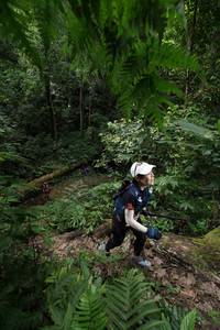 BIB: 
                            <button type="button" onclick="openModal(16029651)" class="btn btn-primary btn-sm float-right btn-popup" data-toggle="modal" data-target=".modal-high-quality">
                        <i class="fas fa-shopping-cart"></i> Add to Cart
                    </button>
                                            <button type="button" onclick="isThisMe(16029651, true)" class="btn btn-success btn-sm float-right btn-popup btn-isme hidden" data-toggle="tooltip" data-placement="bottom" title="นี่คือรูปของคุณใช่ไหม คลิกที่นี่เพื่อเอาเข้าอัลบั้ม">
                        <i class="fas fa-plus"></i> Add to album
                    </button>
                    <button type="button" onclick="isThisMe(16029651, false)" class="btn btn-warning btn-sm float-right btn-popup btn-isnotme hidden">
                        <i class="fas fa-ban"></i> Remove from album
                    </button>